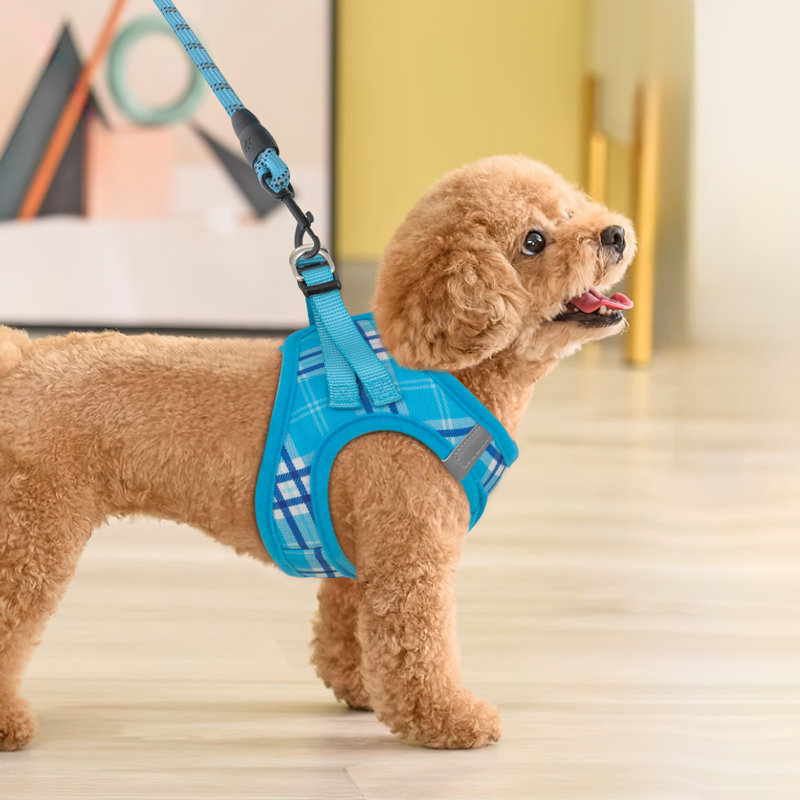 Ensemble de harnais et de laisse pour chien Mellal No-Pull Mesh, Bleu ciel