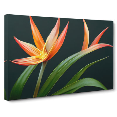 The Bird Of Paradise Flower Vol.3 - Wrapped Canvas