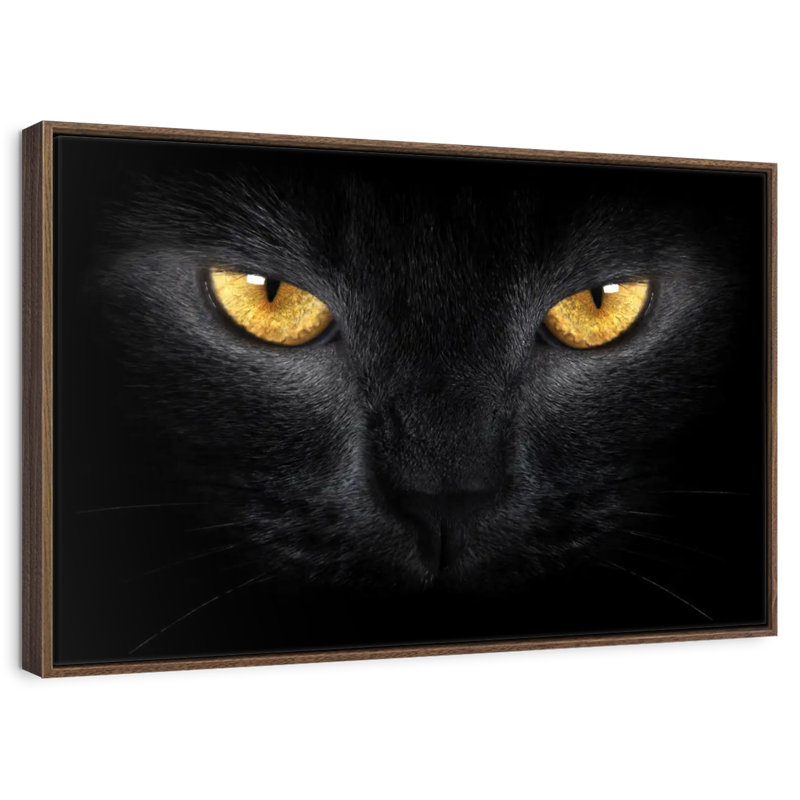 Chat aux yeux jaunes, Cadre flottant blanc, 37 po x 25 po