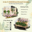 Nolic Wood Planter Box-528277958