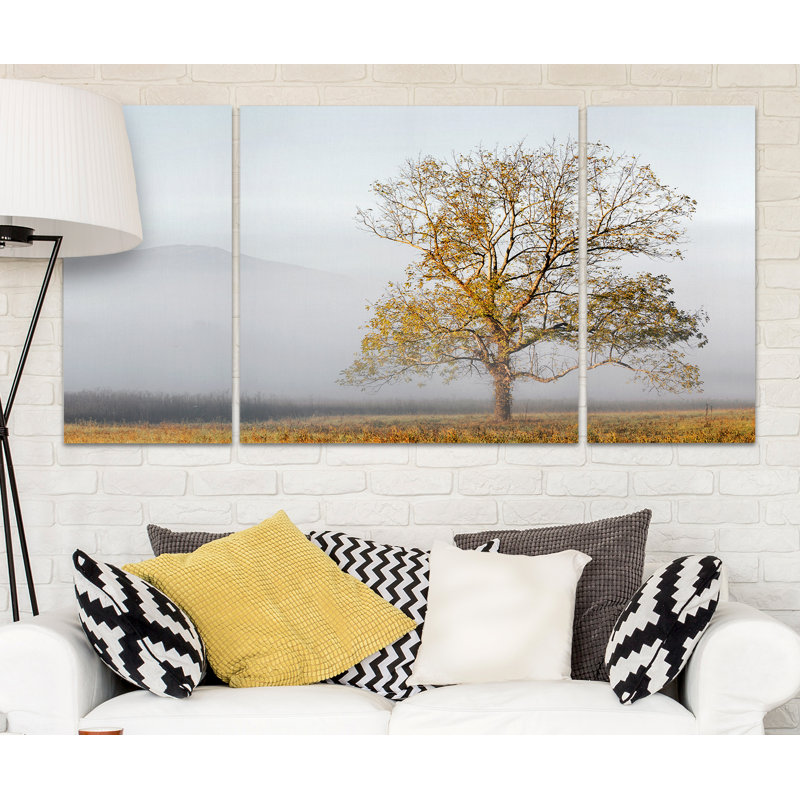 « cades cove », photo multi-pièces de qualité supérieure sur toile, H 24 po x l 48 po x P 1,5 po