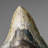 Genuine Megalodon Shark Tooth In Display Box (304 Grams)