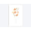 « délicat bouquet iv », impression sur toile-29092630-72794974-72794979