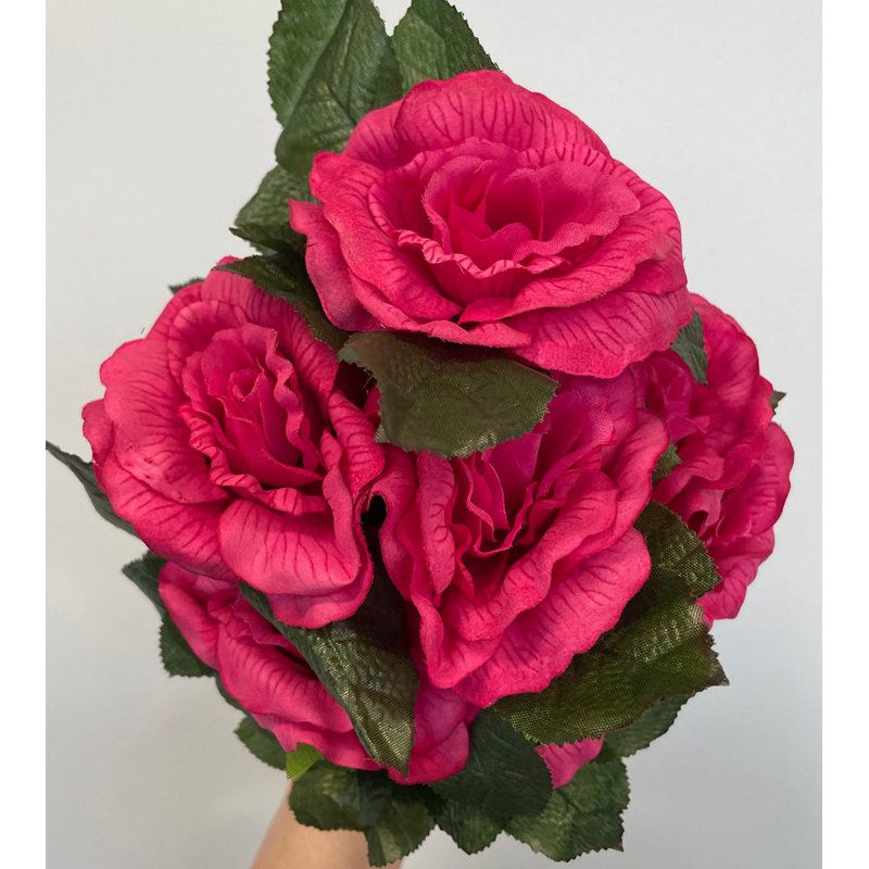 Rose ouvert MP