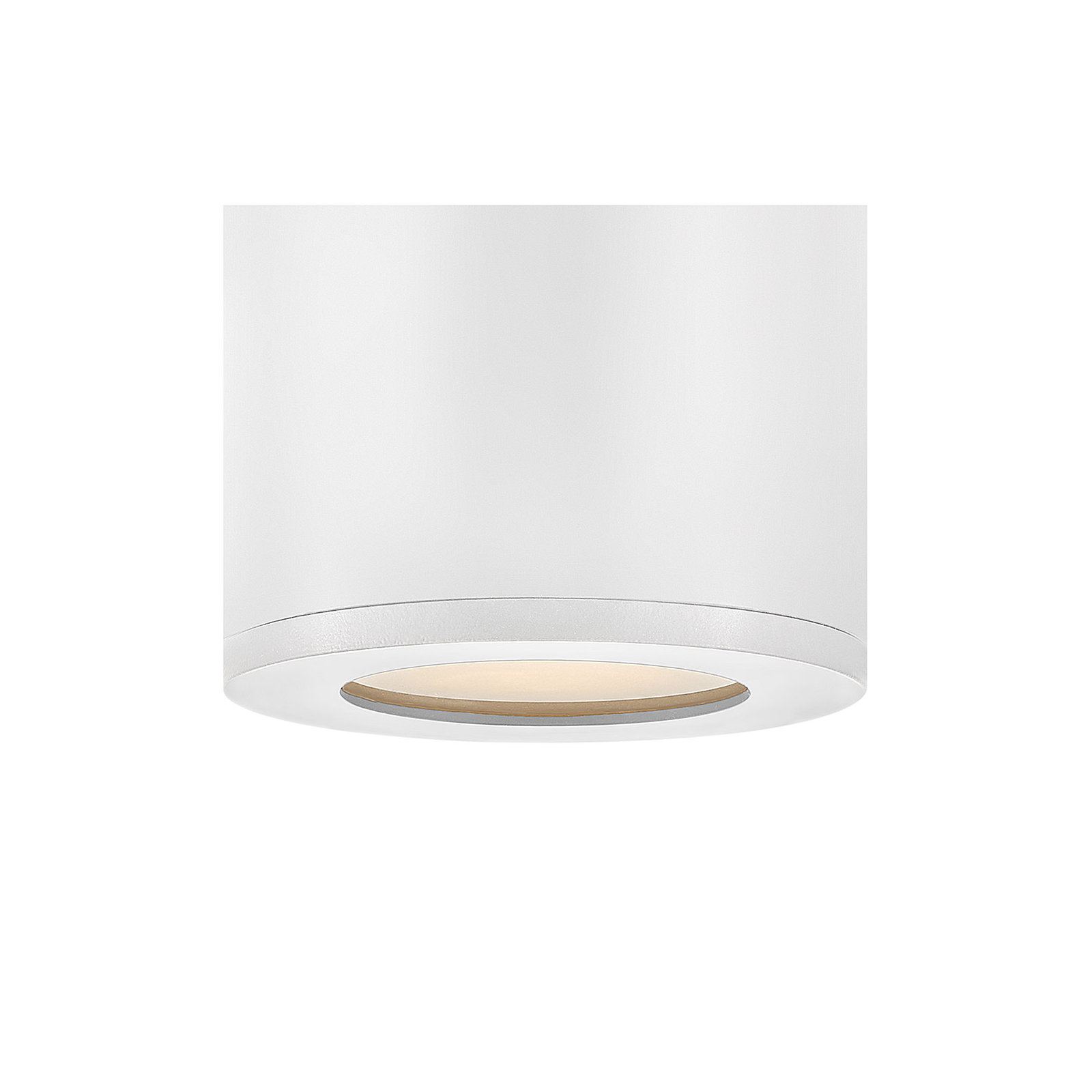 Brissia Frosted Cylinder Outdoor Flush Mount, Satin White