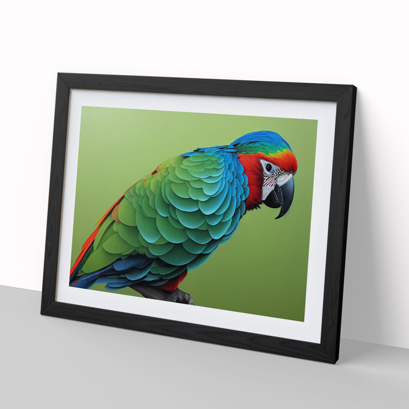 Colourful Parrot Vol.1 - Single Picture Frame Painting, Black Framed, 34cm H x 46cm W x 2cm D