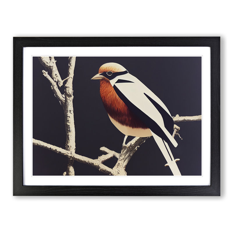 Incomprehensible Bird - Single Picture Frame Print, Black, 46cm H x 64cm W x 2cm D