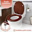 Ackryod Soft Close Elongated Standard Toilet Seat-1620644395