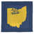 Blue/Gold