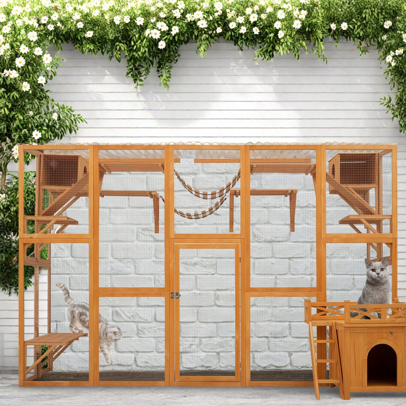 Maison d'extérieur pour chat avec boîte extérieure et plus d'espace