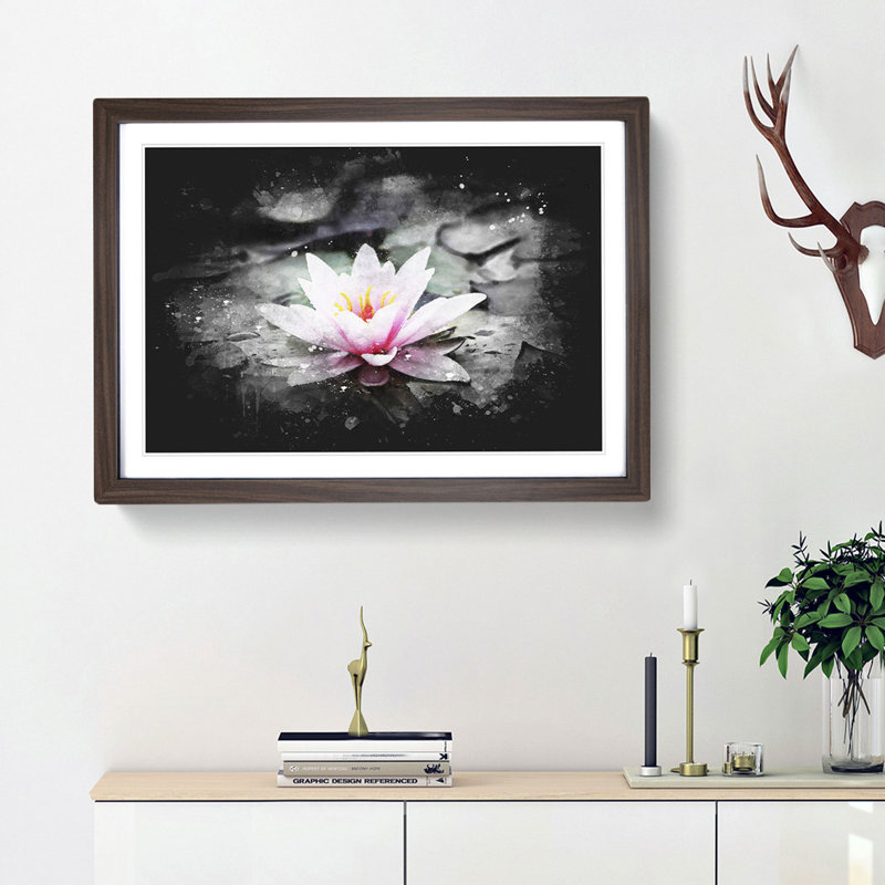 A Pale Pink Water Lily - Picture Frame Graphic Art Print, 60cm H x 91cm W x 2cm D, Walnut Framed