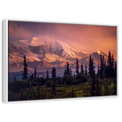 Denali et forêt Denali
