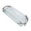 Plateau de verre oblongue Antler