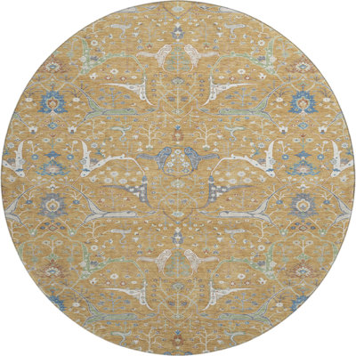 Premium Machine Washable Mayfield AMF2250 Global Rug