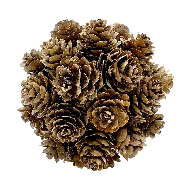 Jayceon 3" Real Preserved Decorative Pinecone and Magnolia Leaf Decorative Orbs Bowl Filler