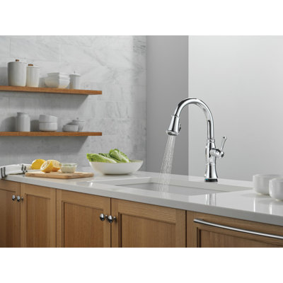 Cassidy Touch2O Kitchen Sink Faucet with Touchless Technology