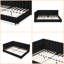 Structure de lit en velours capitonné Mid-Century pleine grandeur avec fonctionnalité de canapé - bois d'eucalyptus noir, 81 po x 60 po x 29,5 po, élégant et confortable pour la chambre à coucher et le salon