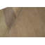 Wool Area Rug in Beige