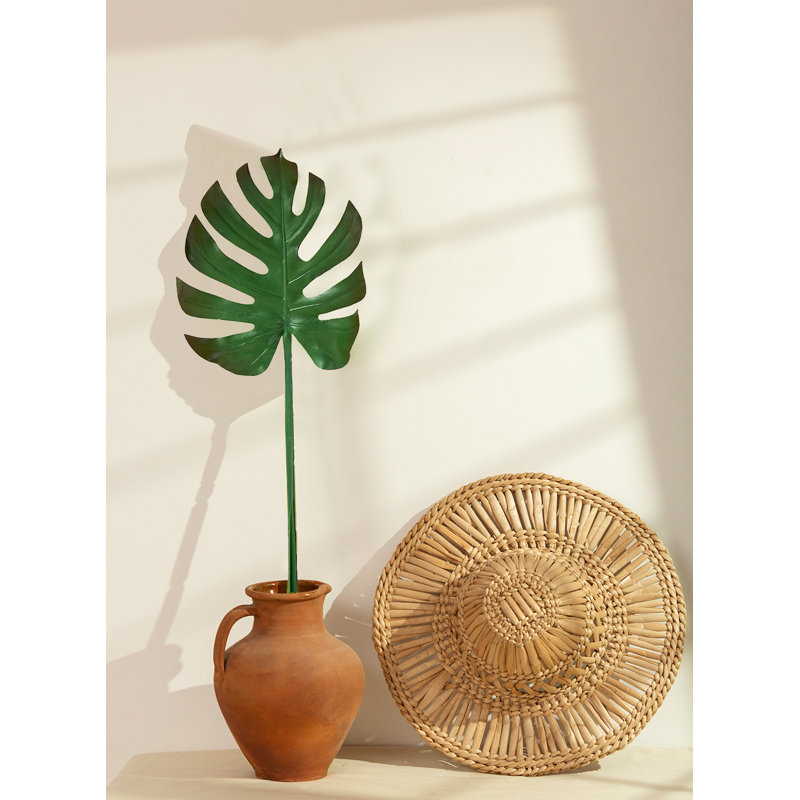 Arrangement Monstera