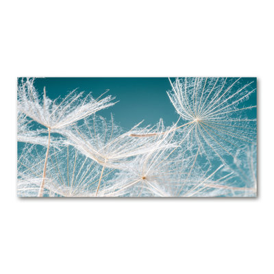 Dandelion Seeds - Wrapped Canvas Print