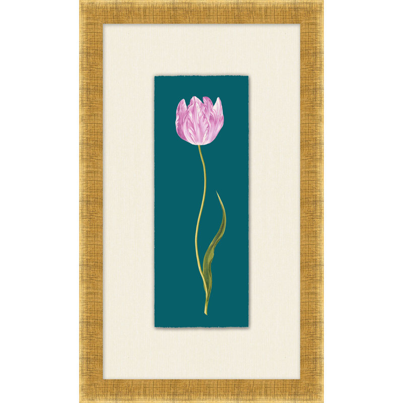 Tulipe Gesneriana 4