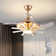 Karneshia Ceiling Fan with LED Lights