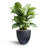 Windrim Black Fiberstone Handmade Pot Planter - Dia 20"-1765606689-1765606683