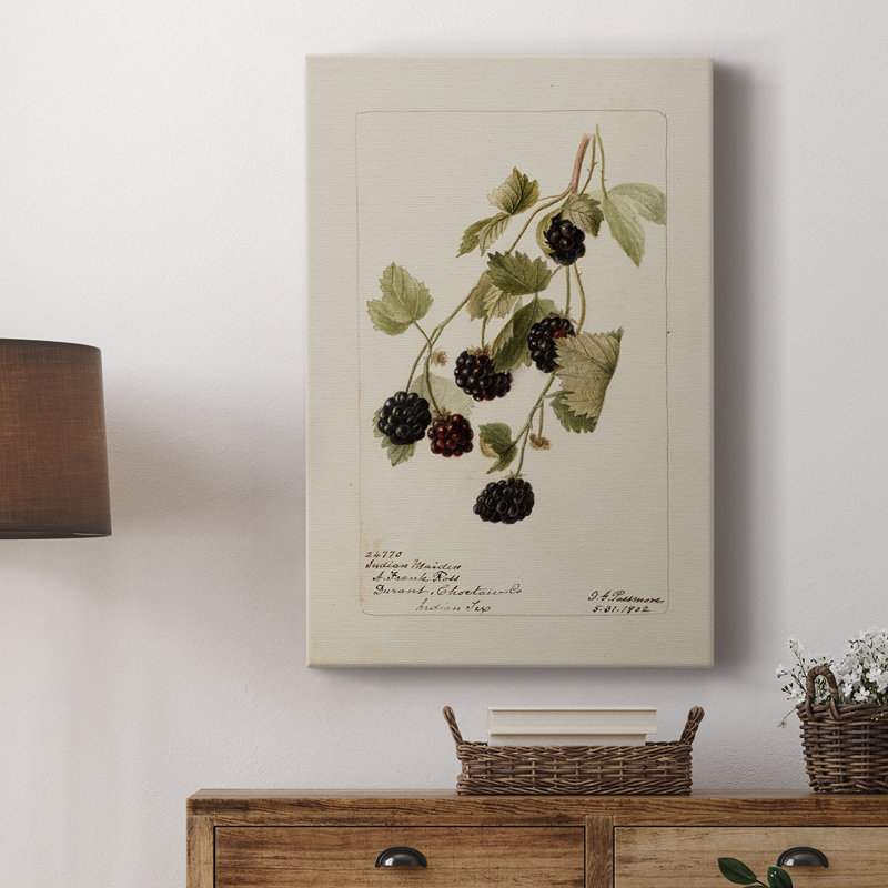 Imprimé floral rétro XLIV - galerie Cavas