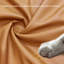 Ussery-351063195-351063172