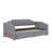 Twin XL Daybed With Integrated Compartment & Pull-Out Trundle, Upholstered Design Featuring LED Lighting-1851678026