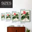 Impression encadrée FloraOf TheTropicsI-Premium - prête à être accrochée - aucun clou requis - aucun clou requis-108001200-108001197