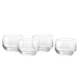 Fortessa Estiva Glass, 17.5 Ounce Tall Tumbler (Set of 4), Textured Clear