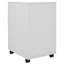 VidaXL Classeur rectangulaire en acier-874040458