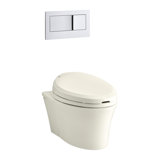 Veil® 1.6 GPF Elongated One-Piece Toilet (Seat Not Included)