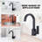 Aleasha Kitchen Faucet