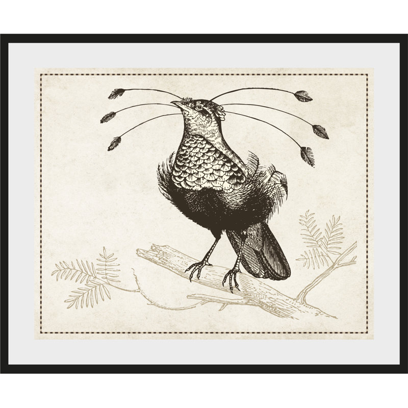 Bird - Single Picture Frame Print, 60 cm H x 50 cm W