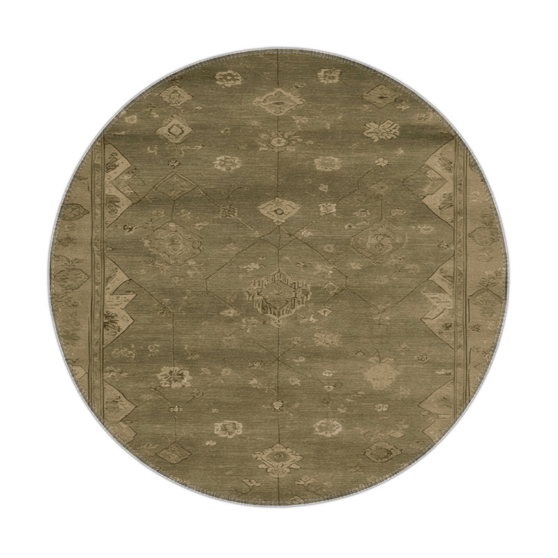 Overdyed Brown Indoor and Outdoor Area Rug, Round 5'