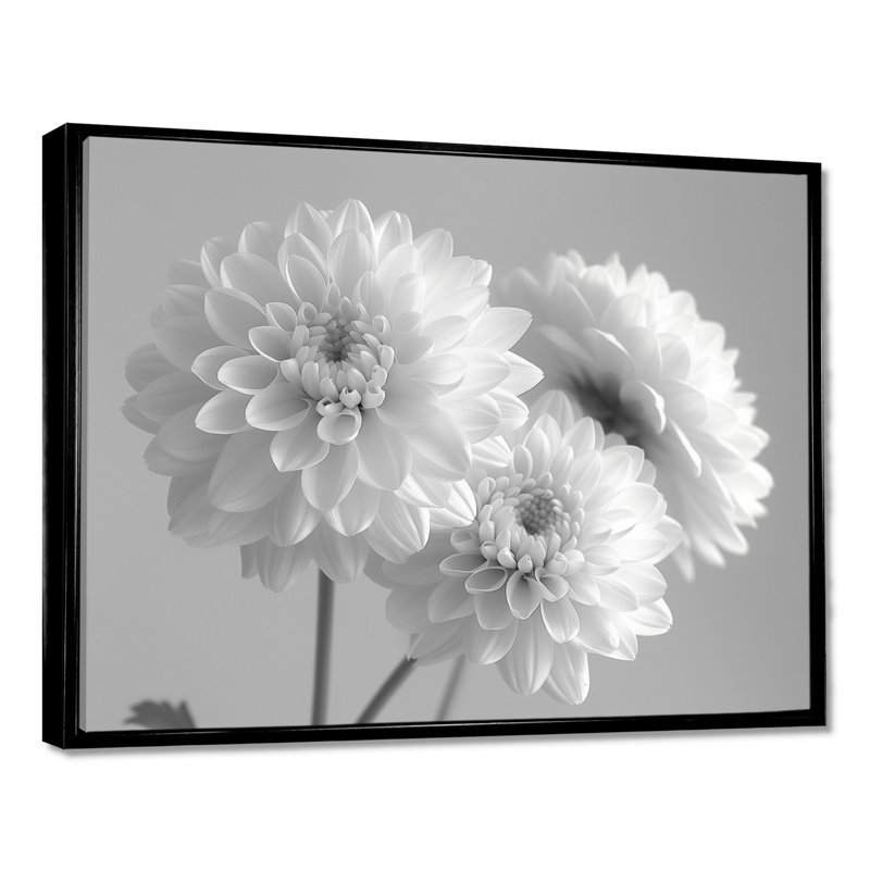 Monochromes blanc noir maman botanique beauté II - décoration murale mamans, H 12 po x l 20 po, Cadre photo noir