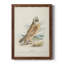 Toile encadrée de qualité supérieure Hawk Owl - prête à être accrochée-604141485-604141484