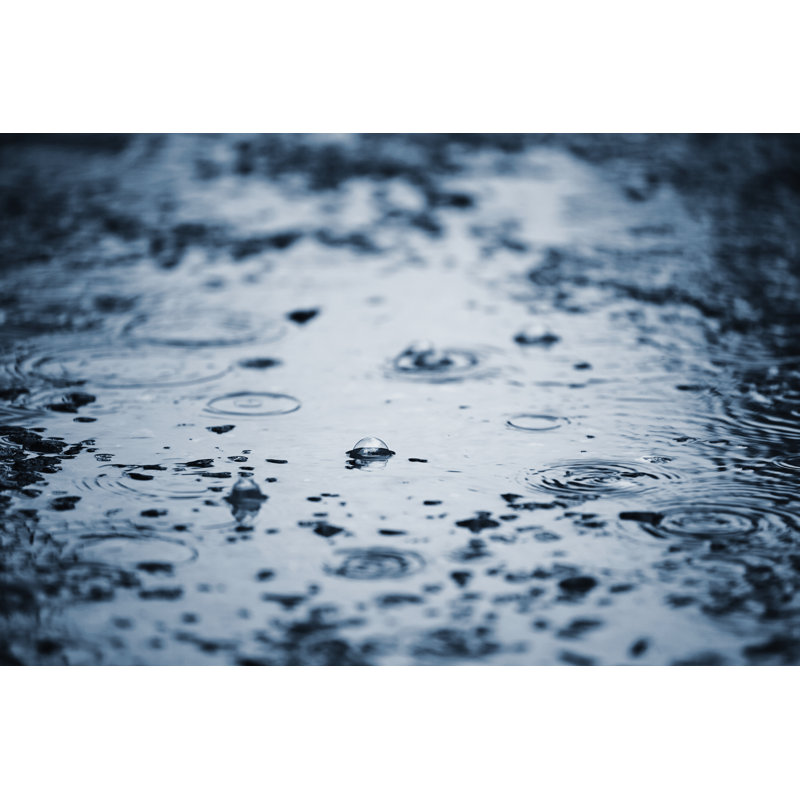 Rain Drops - Photographie sur toile tendue, H 8 po x l 12 po