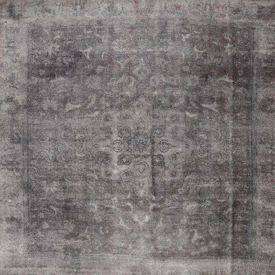 Rawe Oriental Indoor Rug