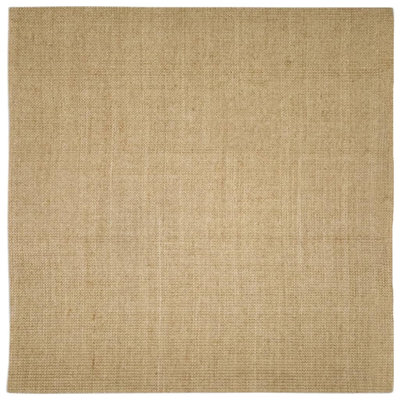 Light Brown Area Rug