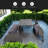 Versatile Outdoor Loveseat That Converts To Four Seats And A Table, Suitable For Gardens And Lawns-390818577