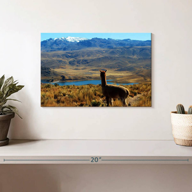 Brampt Lakeside Alpaca, 8" H x 12" W