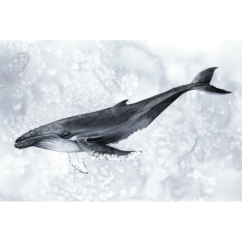 Deep Diver II by Grace Popp - Print on Canvas, Black Floater Framed, 81cm H x 122cm W
