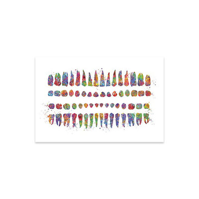 " Teeth Diagram " by Genefy Art