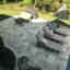 Customer photo 2 of 2