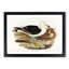 Pacific Gull by Elizabeth Gould - Framed Print-55578032-55578033