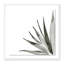 Agave I Print by Jess Engle-48615481-48615482