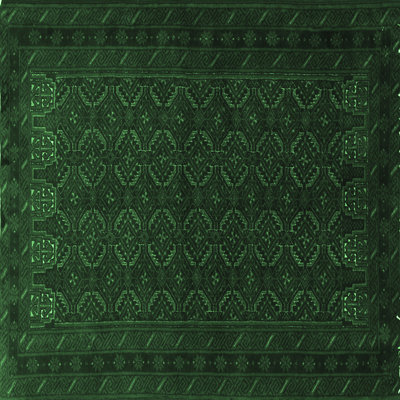 Oriental Indoor Rug